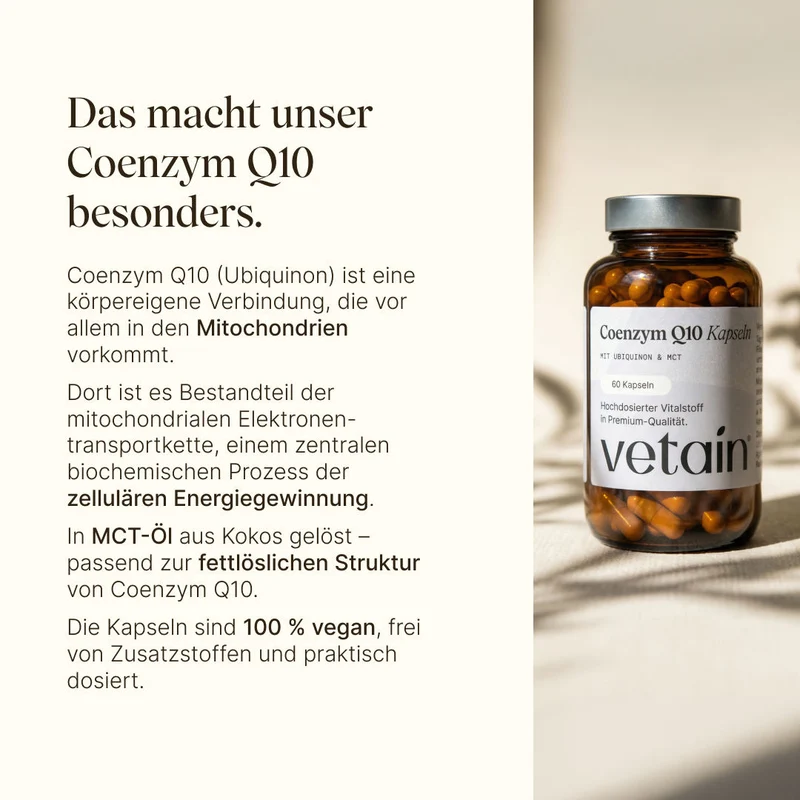 Coenzym Q10 Kapseln (60 Kapseln)