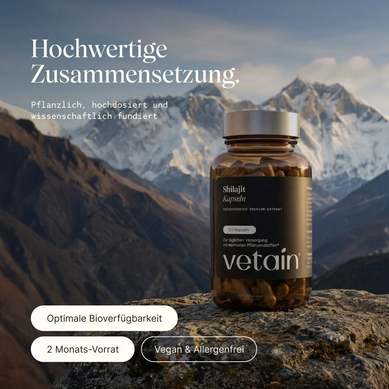 Shilajit - hochdosiert (120 Kapseln)