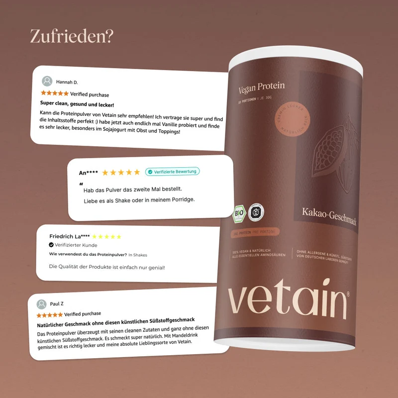 Vegan Protein Kakao (540g/BIO)