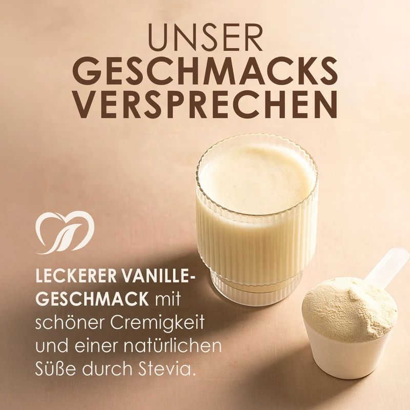 Creamy Protein Vanilla Dream