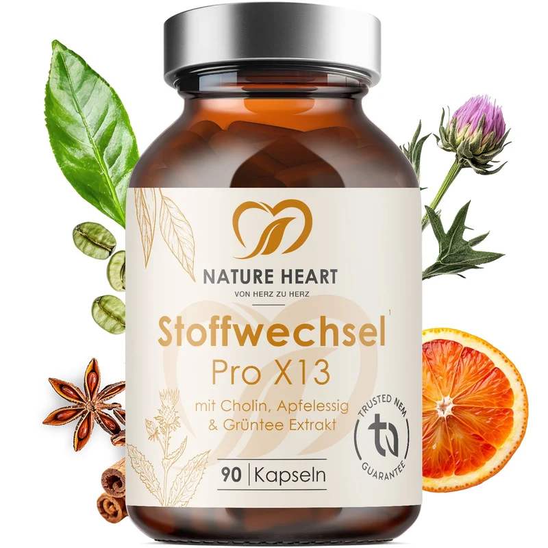 Stoffwechsel Pro X13