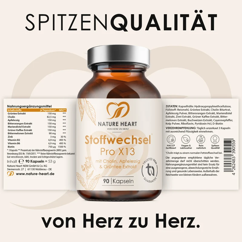 Stoffwechsel Pro X13
