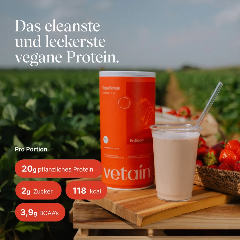 Vegan Protein Erdbeere (540g/BIO)
