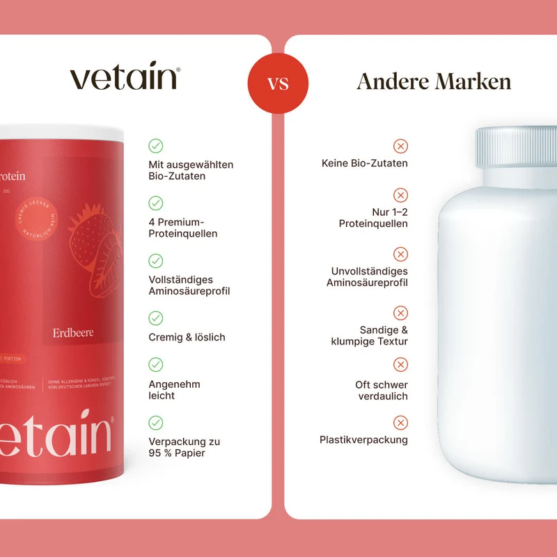 Vegan Protein Erdbeere (540g/BIO)