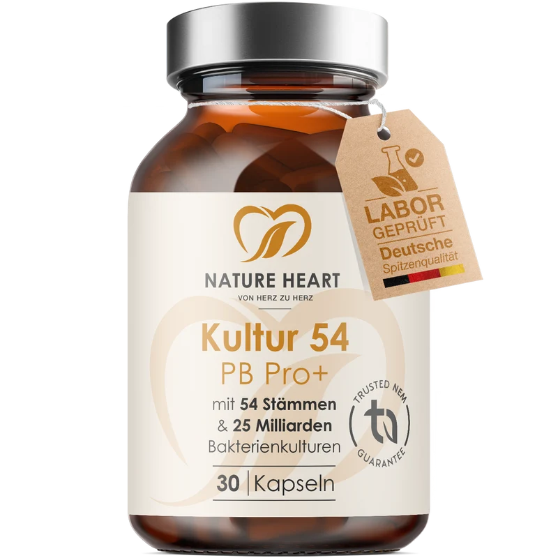 Kultur54 PB Pro+