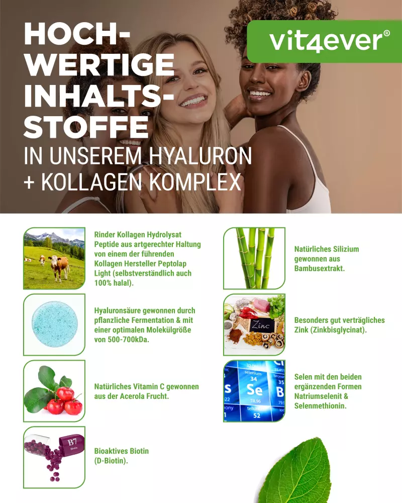 Hyaluronsäure Kollagen Komplex (240 Kaps.)