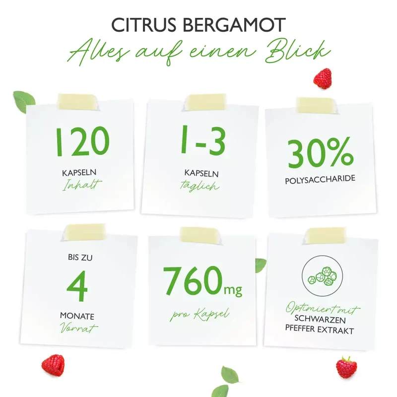 Citrus Bergamot, 30% Polyphenole (120 Kapseln)