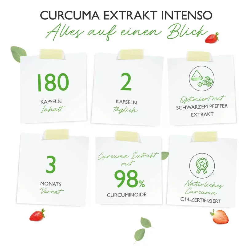 Curcuma Extrakt Intenso Curcumin - (180 Kapseln)