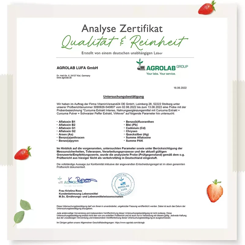 Curcuma Extrakt Intenso Curcumin - (180 Kapseln)