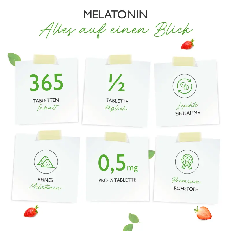 Melatonin (365 Tabletten 1mg)