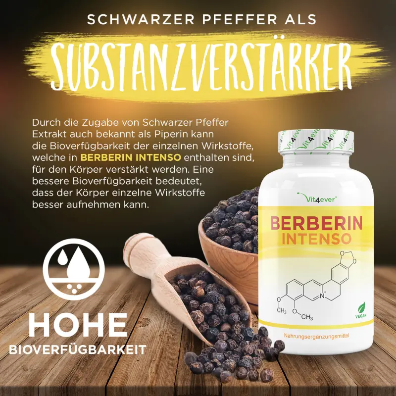 Berberin HCL Intenso - (120 Kapseln a 500mg)