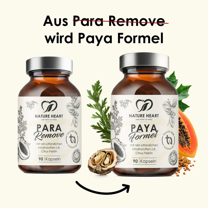 Paya Formel | limitiert