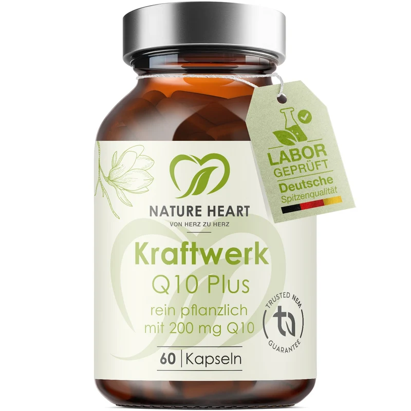 Kraftwerk Q10 Plus