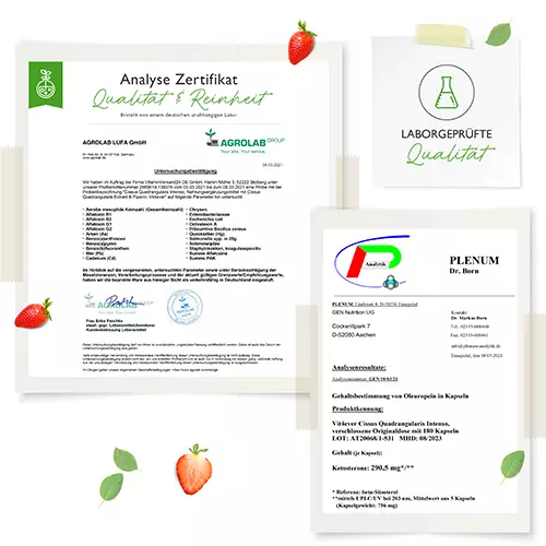 Cissus Intenso (180 Kapsel - 725 mg Extrakt - 40% Ketosterone)