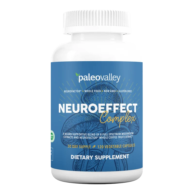 Paleovalley NeuroEffect