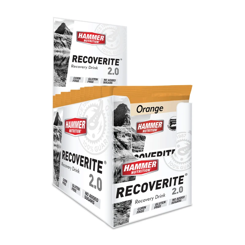 Hammer Recoverite 2.0