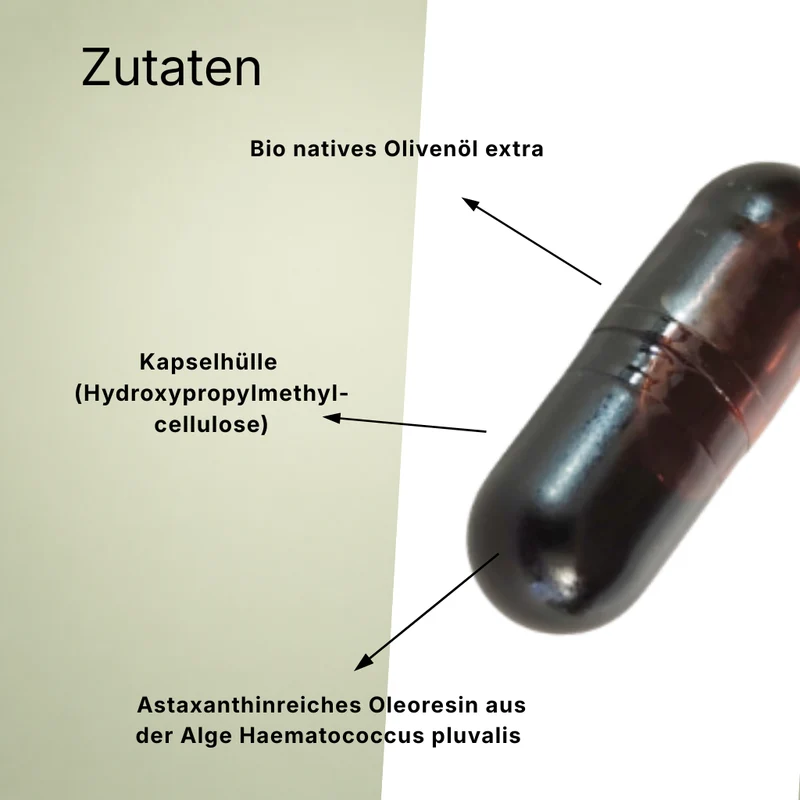 Astaxanthin Kapseln