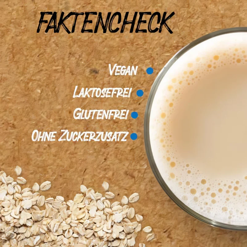 BORCHERS Bio Haferdrink Pulver 300g - Haferdrink zum Selbermischen