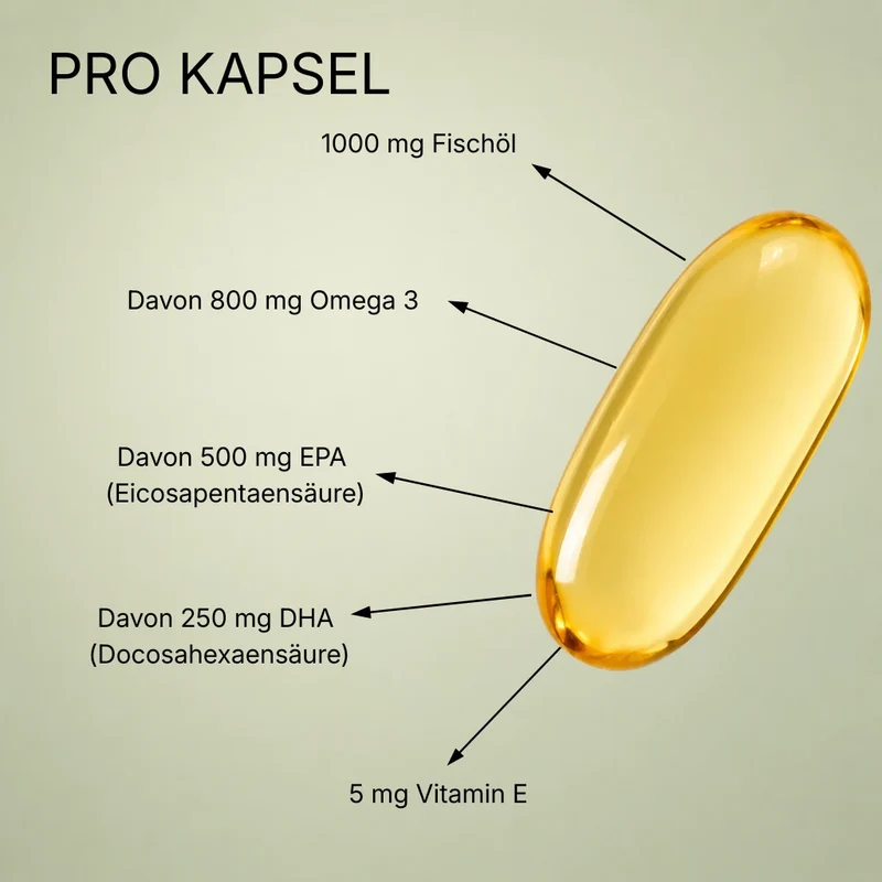 Omega-3 Fischöl Kapseln 1000 mg – 500 EPA / 250 DHA – TG-Form