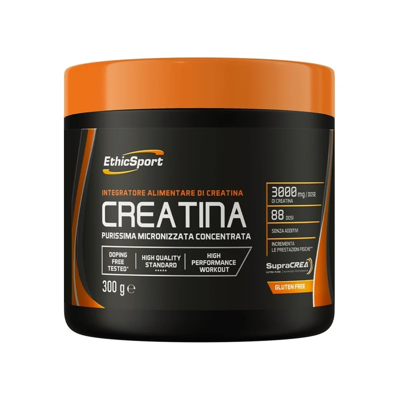 Creatina 300g