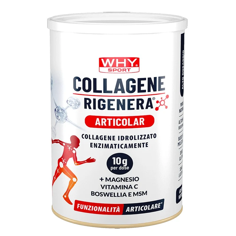 Collagene Rigenera Articolar 336g
