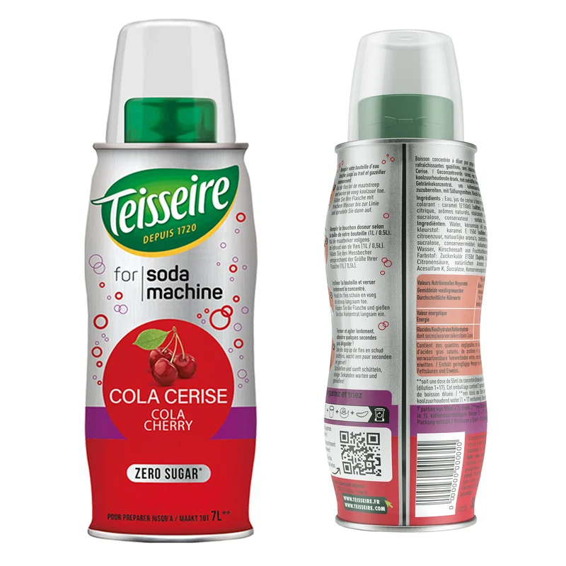 Teisseire Sirup 6 x 600ml Sparpack - verschiedene Sorten