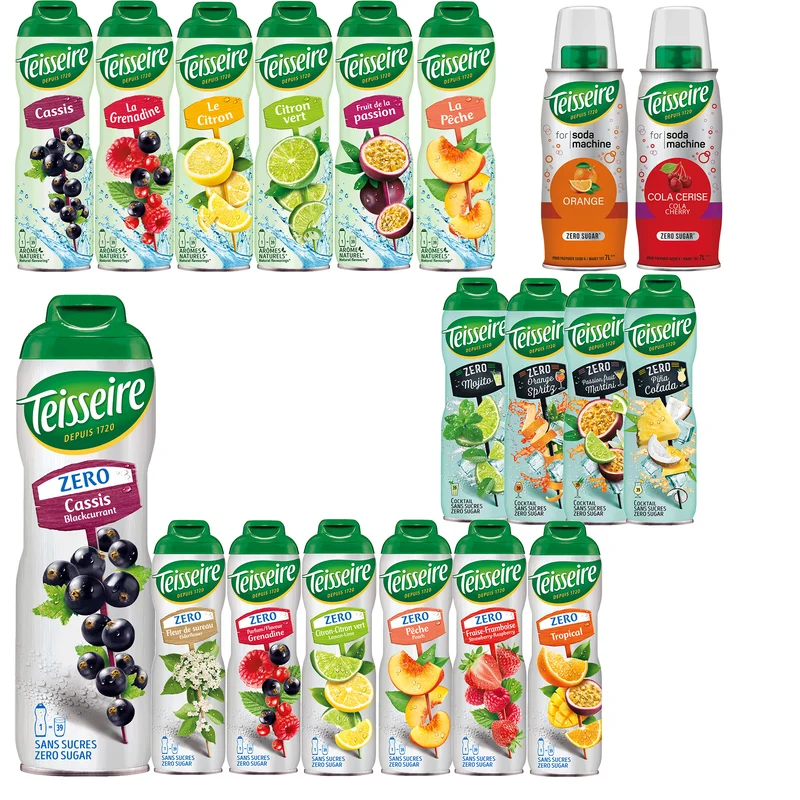 Teisseire Sirup 6 x 600ml Sparpack - verschiedene Sorten