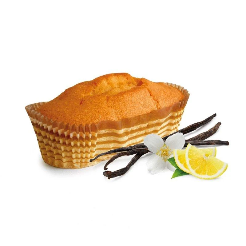 Protein Kuchen Plumcake Start 1 (28% Protein) 1 x 45g von Feeling OK
