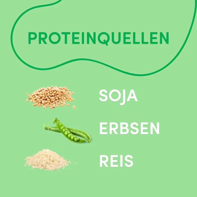 Vegan Schoko Protein Shake (420g) High Proteinpulver, 100% Vegan