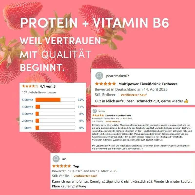 420g Whey Protein Pulver Erdbeere | Strawberry Proteinpulver