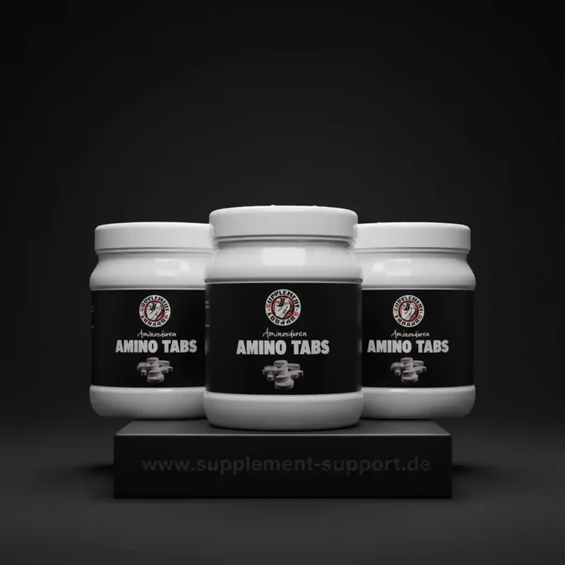 Amino Tabletten 3x 325 Stück von Supplement Support