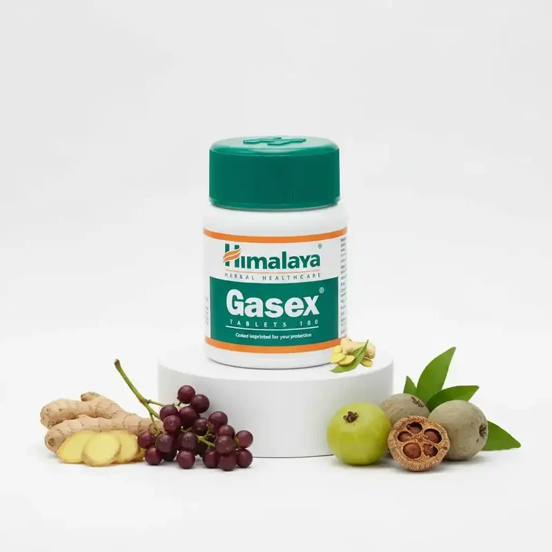Himalaya Gasex 100 Tabletten