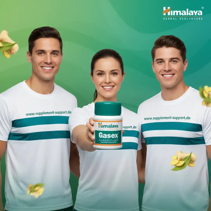 Himalaya Gasex 100 Tabletten