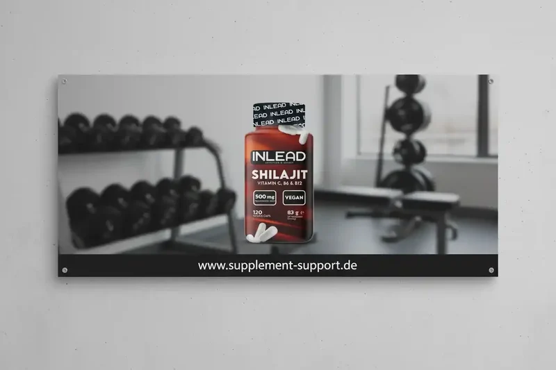 Inlead Shilajit 120 Caps