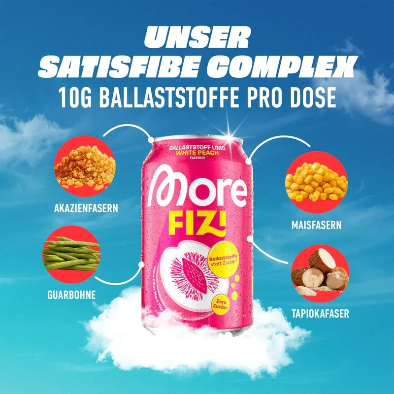 More FIZI 330ml