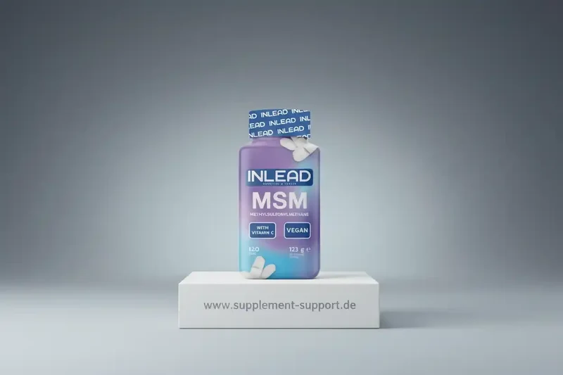 Inlead MSM + Vitamin C 120 Tabs.