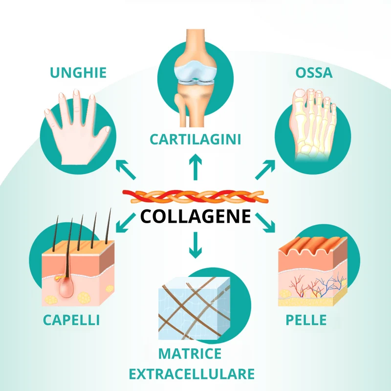 Lumenday - Collagene Marino e Acido Ialuronico