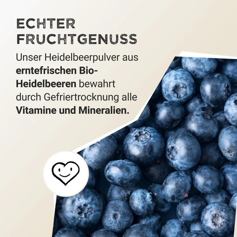 Wild Blueberry Powder