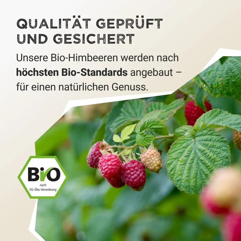 Fruit Powder - Raspberry