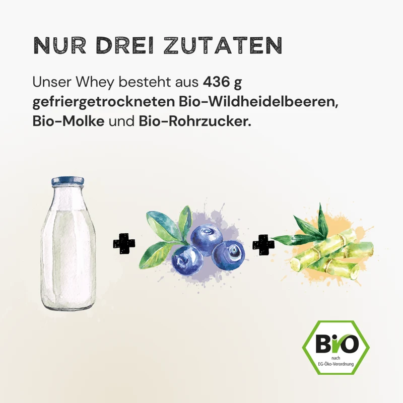 Whey Protein - Wild Blueberry