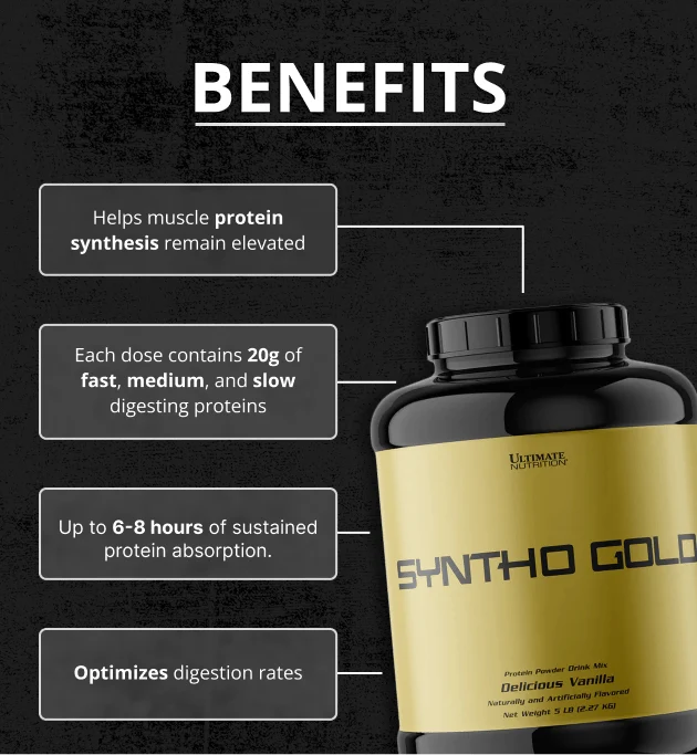 Syntho Gold: A Protein Blast for Your Body