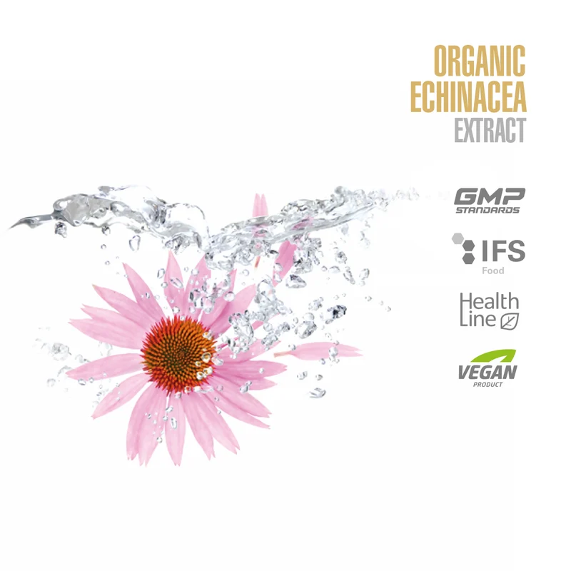 Organic Echinacea Extract