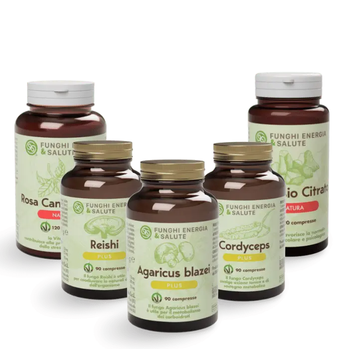 Kit Fegato – Potenzia la Tua Salute con Funghi Medicinali e Nutrienti Essenziali