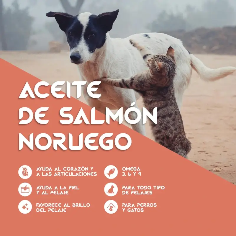 Togo Salmon Oil, 250 ml