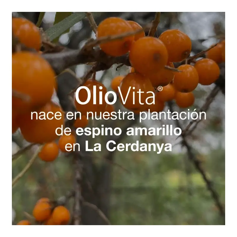 Oliovita 150 capsules – With sea buckthorn oil rich in Omega-7